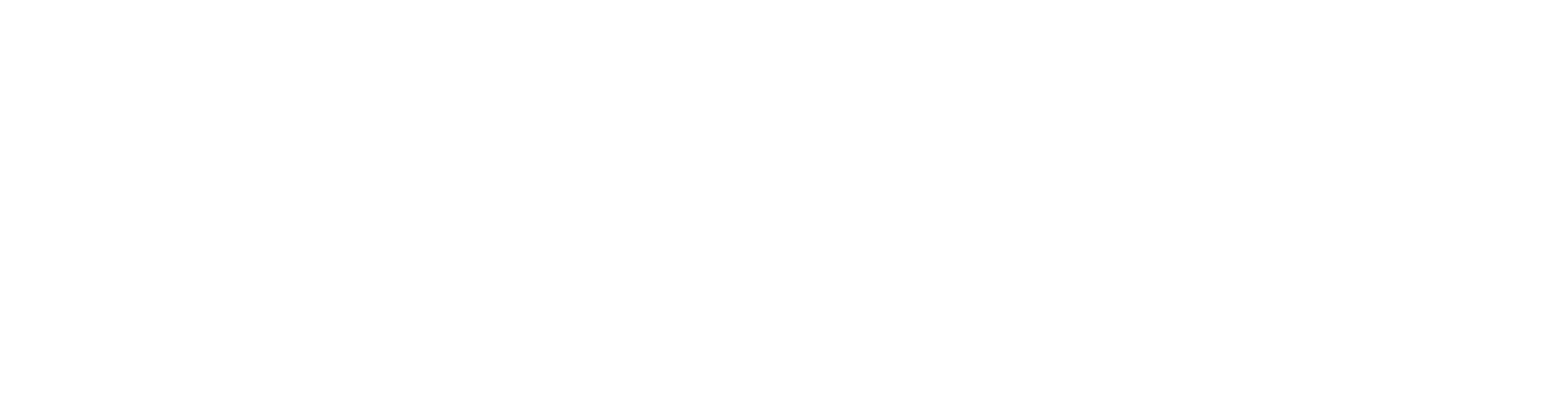 OCTECH Software Development Services